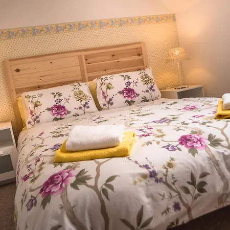 Boretinsky Statek Guest house