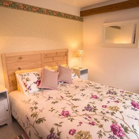 Boretinsky Statek Guest house 4*