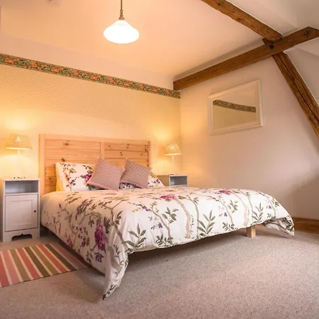 Guest house Boretinsky Statek 4*