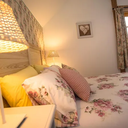 Guest house Boretinsky Statek 4*