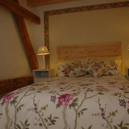 Guest house Boretinsky Statek 4*