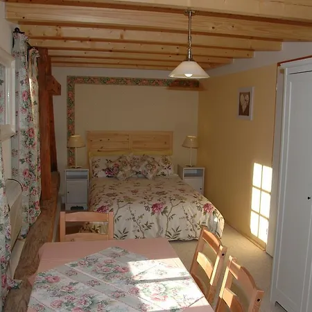 Guest house Boretinsky Statek