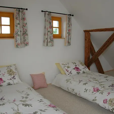 Guest house Boretinsky Statek 4*