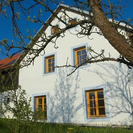 Guest house Boretinsky Statek 4*