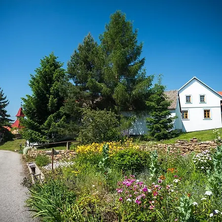 Guest house Boretinsky Statek Boretin
