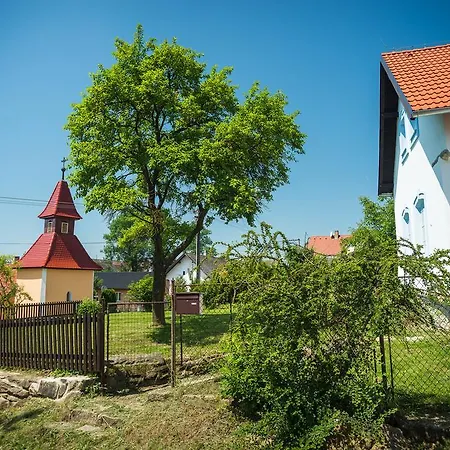 Guest house Boretinsky Statek 4*