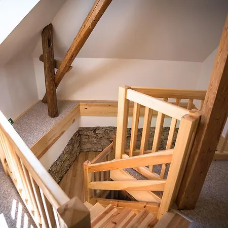 Boretinsky Statek Guest house 4*