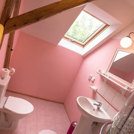 Boretinsky Statek Guest house